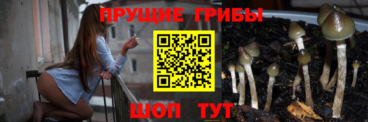 Сергиев Посад  Псилоцибиновые грибы мухоморы  Вход с VPN  Псилоцибиновые грибы ЛСД 